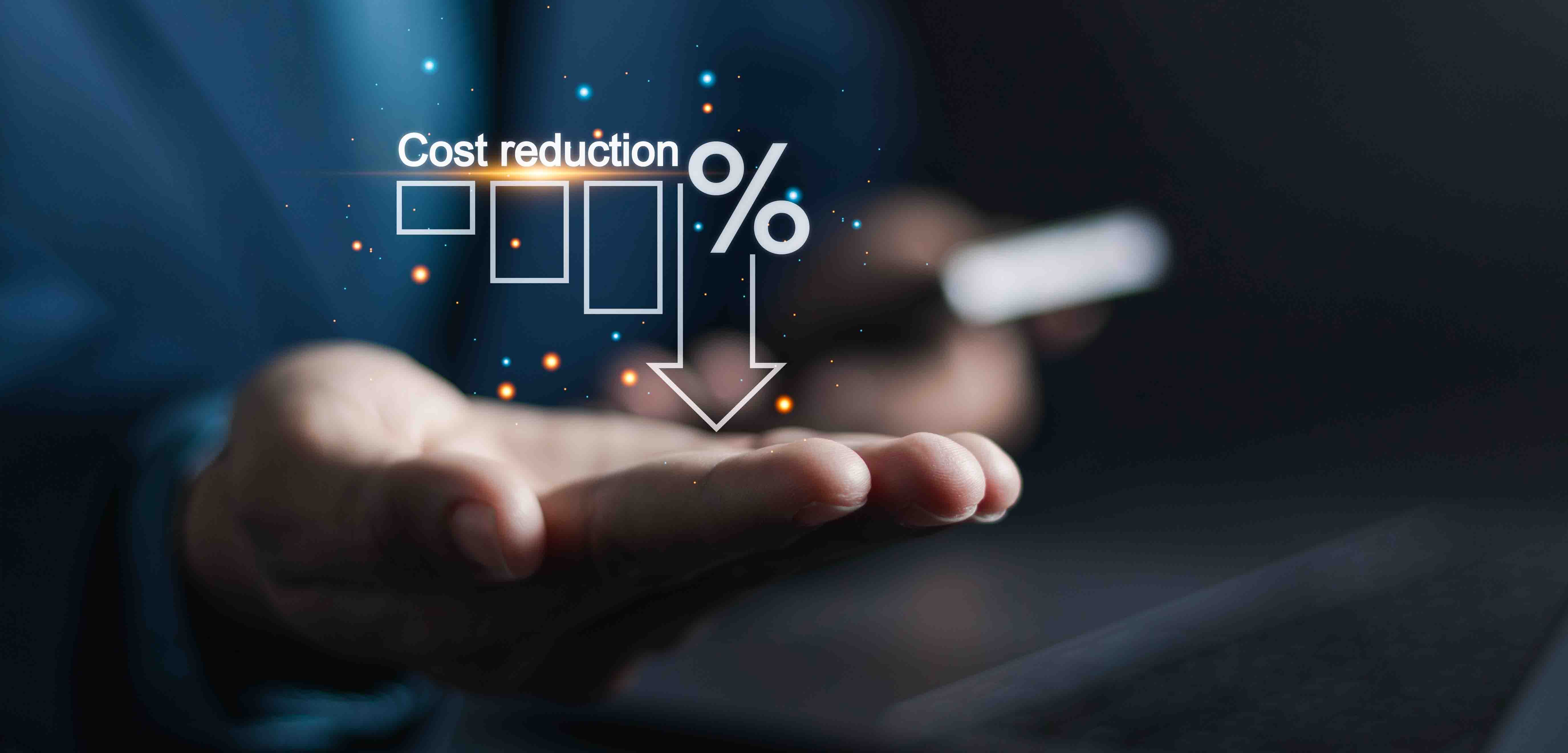 Cost and Lead Time Reduction Activities